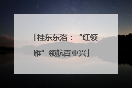 桂东东洛：“红领雁”领航百业兴
